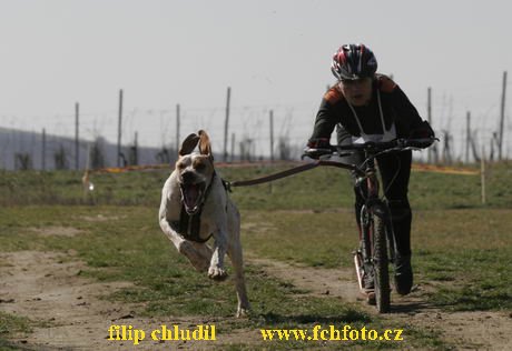 Hustopece 08 - 051.JPG